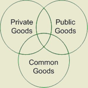 Commons Trust diagram